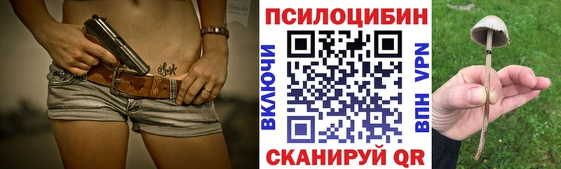 блэк спрут зеркало  где найти наркотики  Бор  Псилоцибиновые грибы Cubensis 